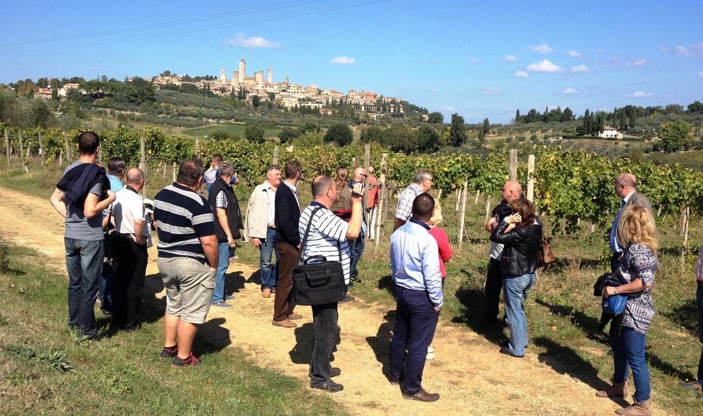 Fattoria Abbazia Monte Oliveto *