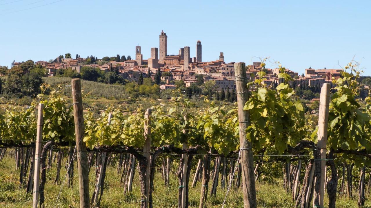 Séjour à la ferme Fattoria Abbazia Monte Oliveto